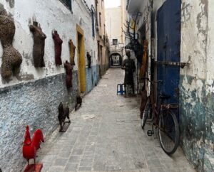 beach essaouira, highlight casablanca tour