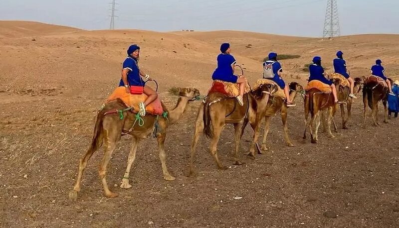 Agafay Desert Camel Ride