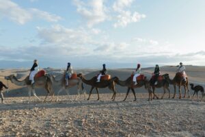 Magical Evening in Agafay Desert with Camel Ride and Dinner Show