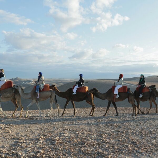 Magical Evening in Agafay Desert with Camel Ride and Dinner Show