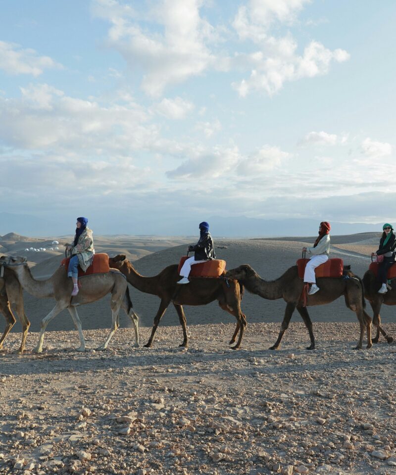 Magical Evening in Agafay Desert with Camel Ride and Dinner Show