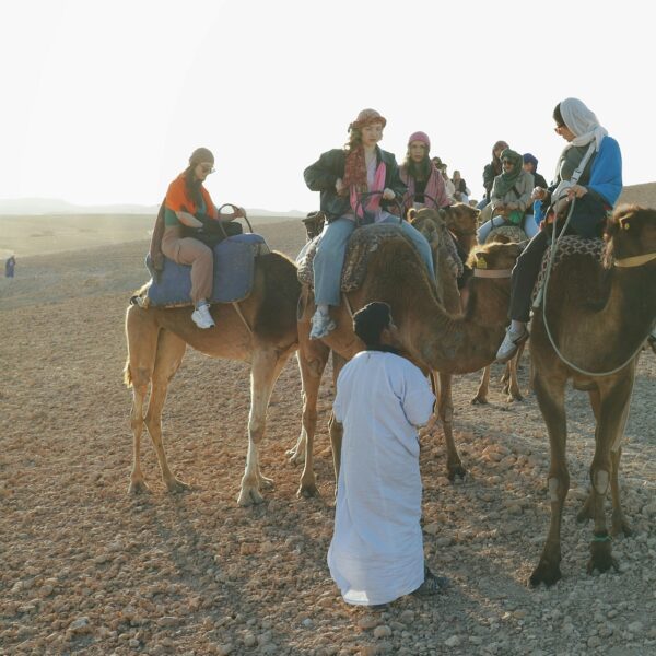 Agafay Desert Camel Ride, sunset and Dinner Show