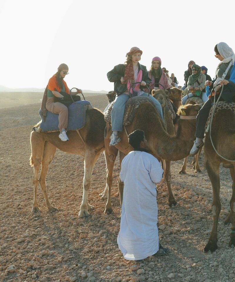 Agafay Desert Camel Ride, sunset and Dinner Show