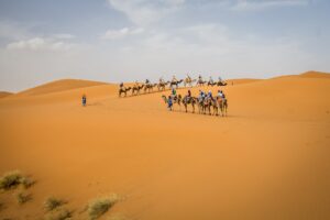 Tour 3 Days Desert Tour From Marrakech to Fes via Desert