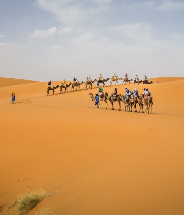 Tour 3 Days Desert Tour From Marrakech to Fes via Desert