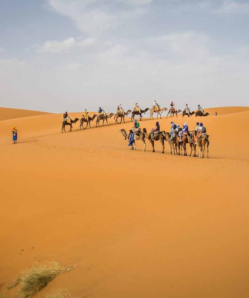 Tour 3 Days Desert Tour From Marrakech to Fes via Desert