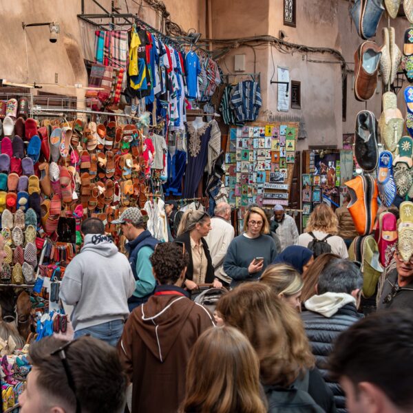 Marrakech sightseeing day tour