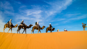 Tour 8 days for family holiday to sahara from Casablanca