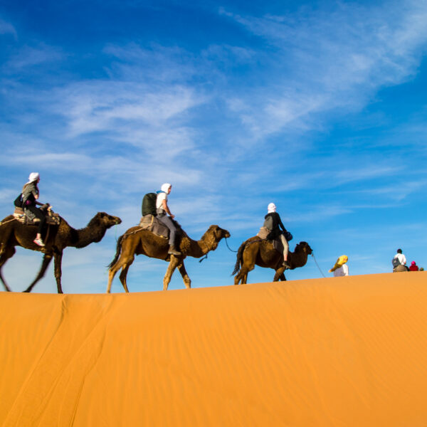Tour 8 days for family holiday to sahara from Casablanca