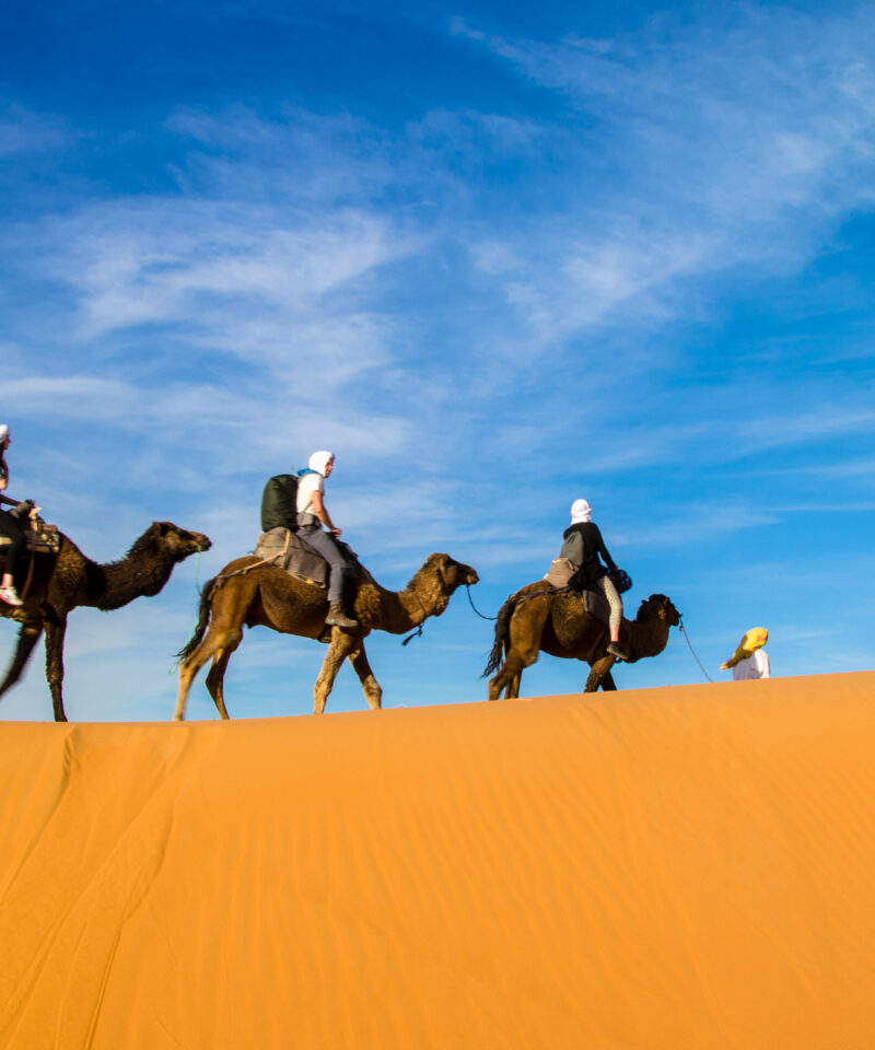 Tour 8 days for family holiday to sahara from Casablanca