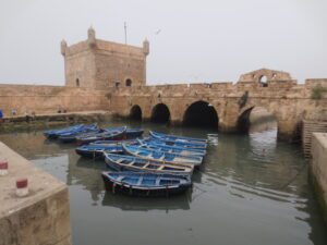 Full day trip to Essaouira, beach and Argan forest