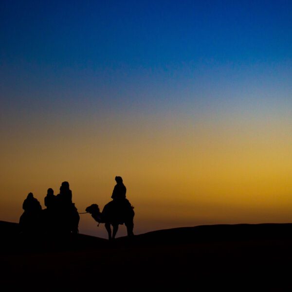 Tour 12 days to imperial cities & sahara tour from casablanca