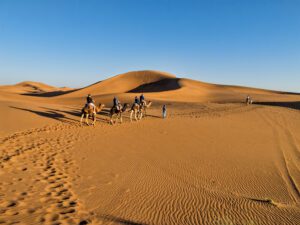 Shared tour 2 days trip to Zagora via desert sahara from Marrakech