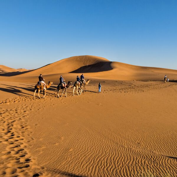 Shared tour 2 days trip to Zagora via desert sahara from Marrakech