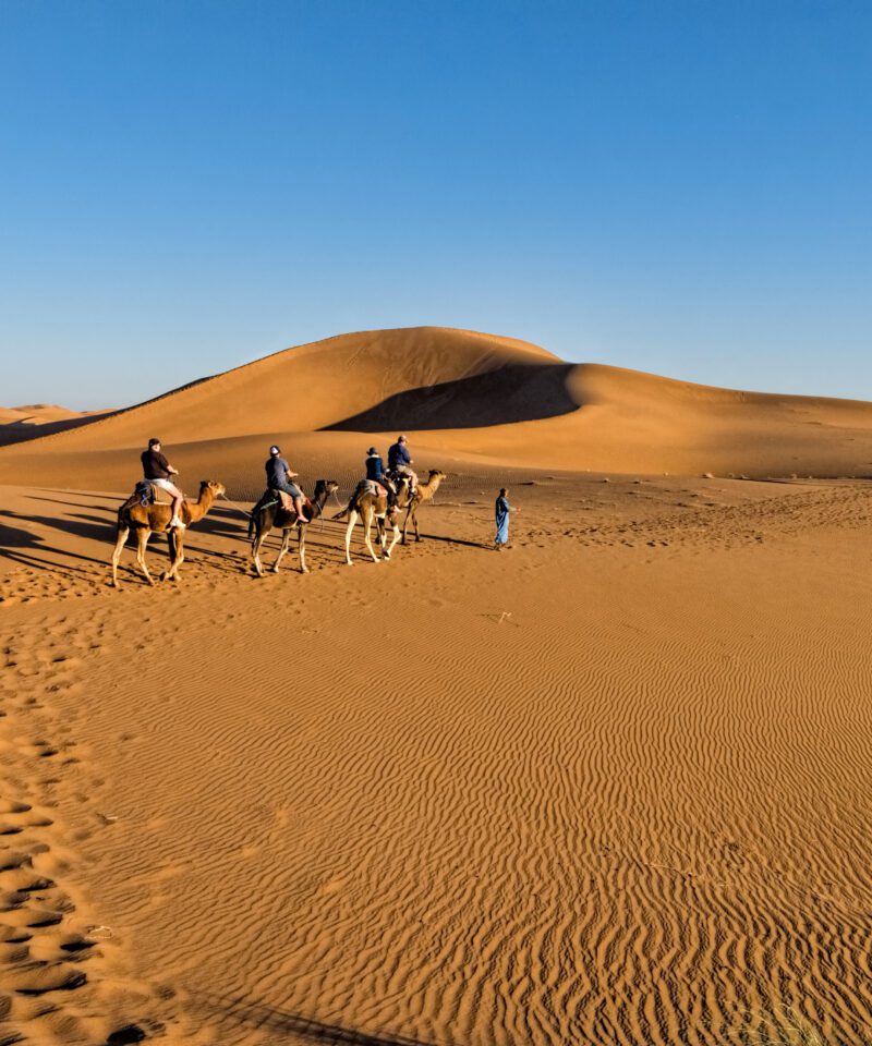 Shared tour 2 days trip to Zagora via desert sahara from Marrakech