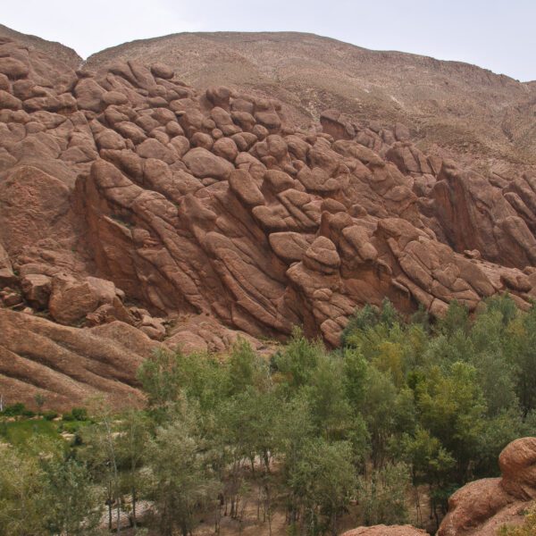 7 days trip from Casablanca to desert