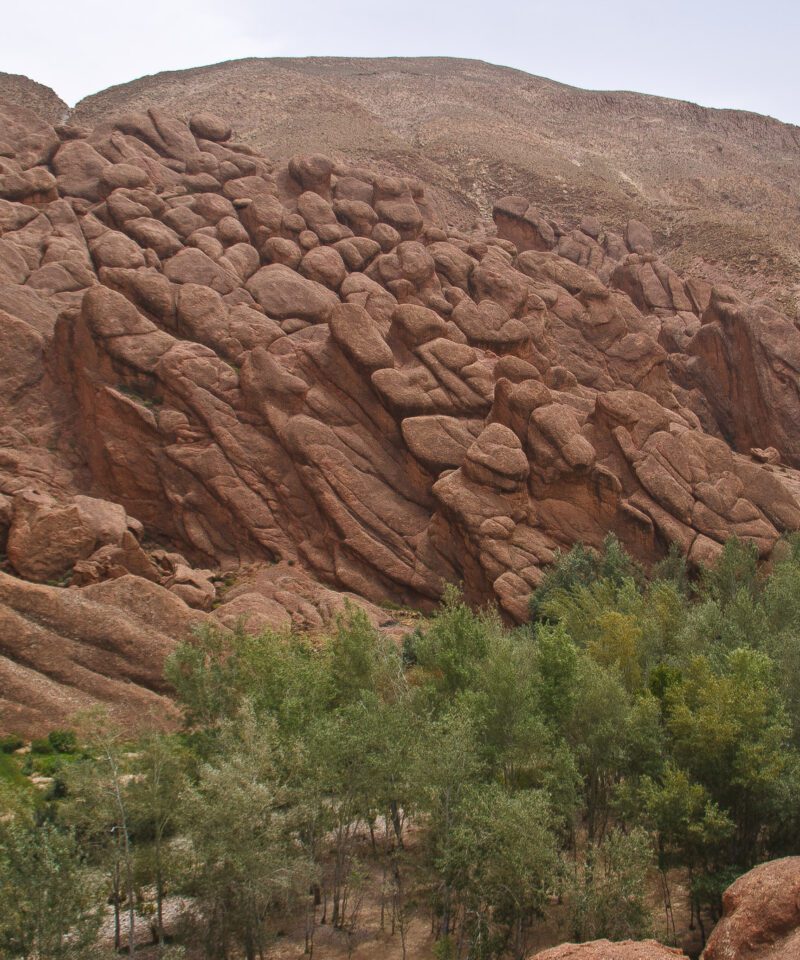 7 days trip from Casablanca to desert